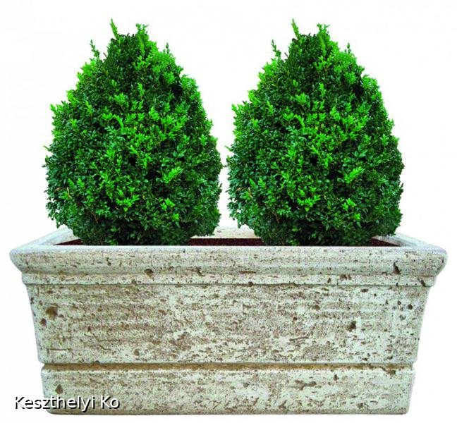 kö virágtartók,beton virágtartók,kaspó,balkonláda,virágláda,virágtartó,kaspó